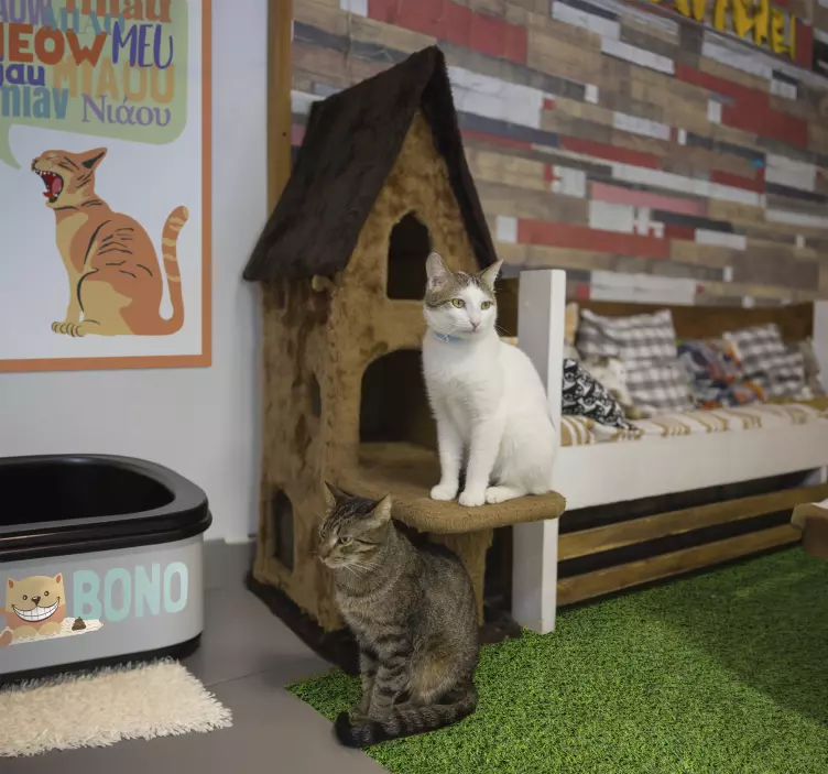 Autocolante caixa de Areia para Gatos - TenStickers