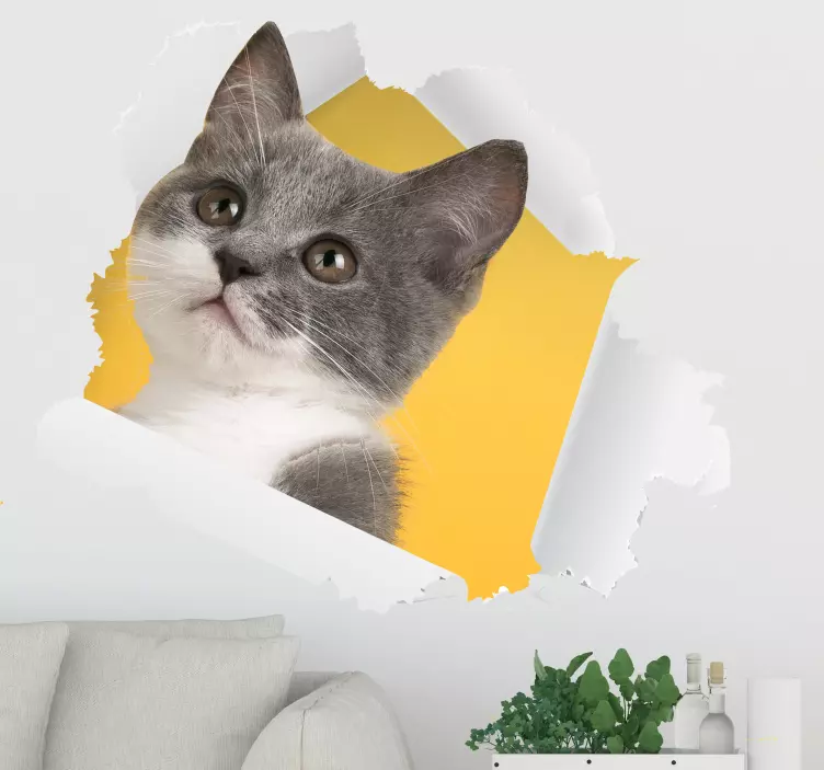 Vinil cão e gato autocolante 3d gato - TenStickers
