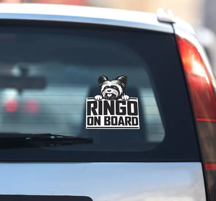Autocolante para carros Belo cão yorkshire espiando - TenStickers