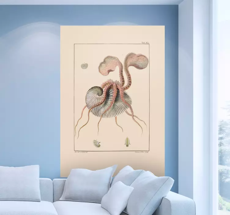 Autocolante nautilus antigo - TenStickers