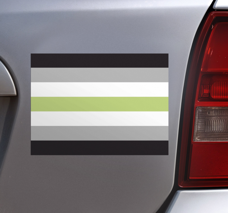 Autocolante para carro bandeira agênero - TenStickers