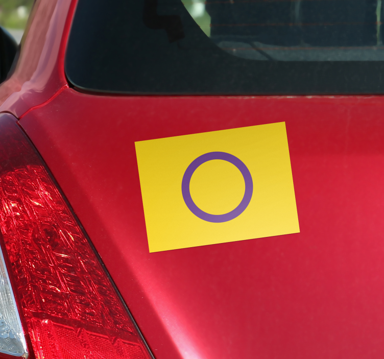 Autocolante para carro bandeira intersexo - TenStickers
