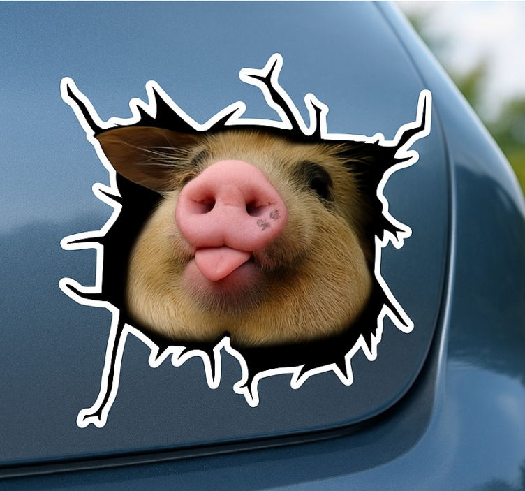 Autocolante para carro porquinho engraçado 3d - TenStickers