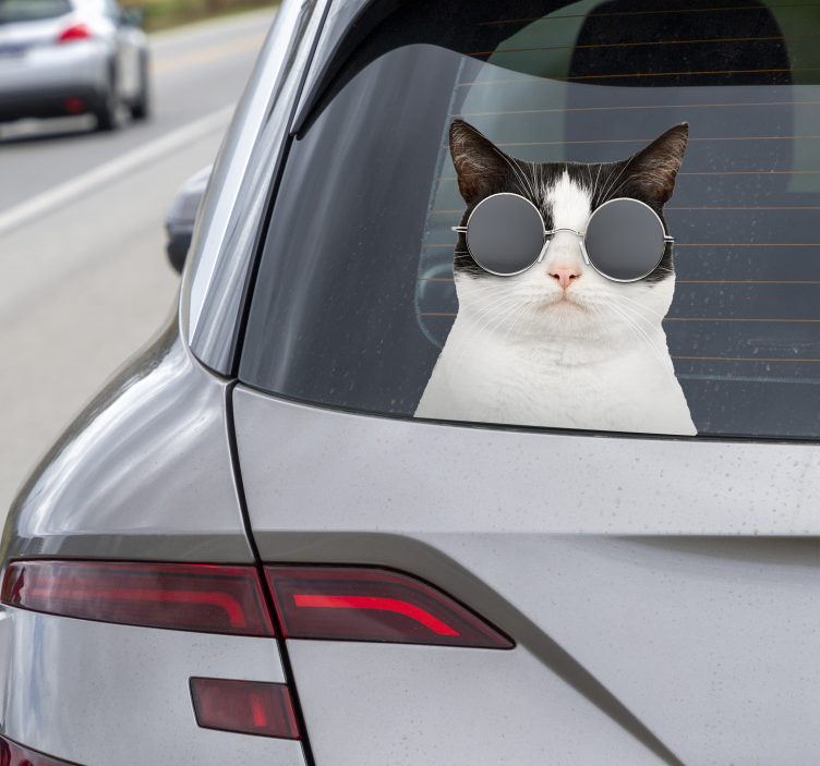 Autocolante para carro gato com óculos de sol - TenStickers