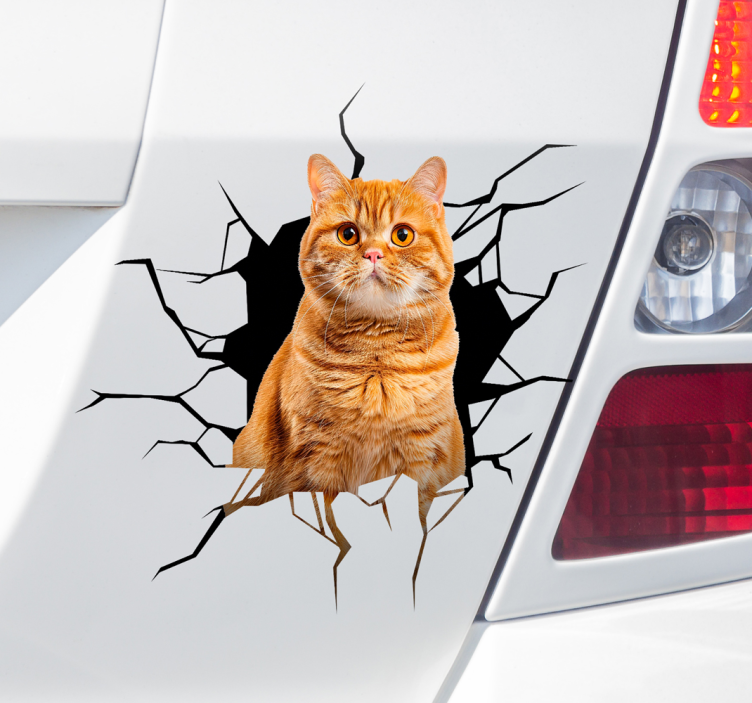 Autocolante para carro gato na toca - TenStickers