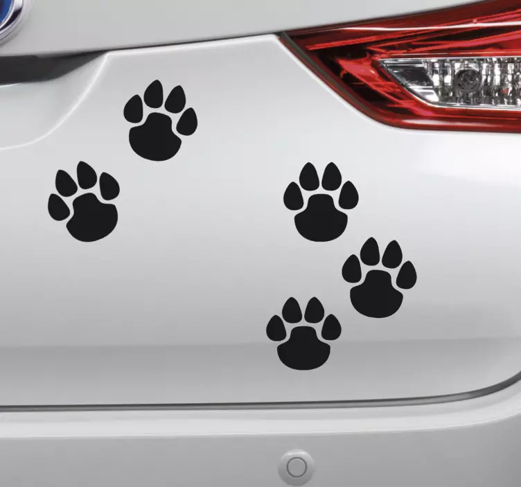Autocolante para carros Patas Auto - TenStickers