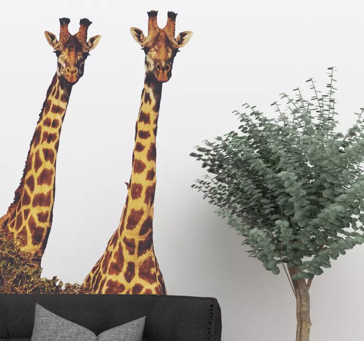 Autocolantes quarto de dormir girafas realistas - TenStickers