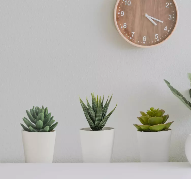 Plantas Autocolantes Potes de cactos 3d - TenStickers