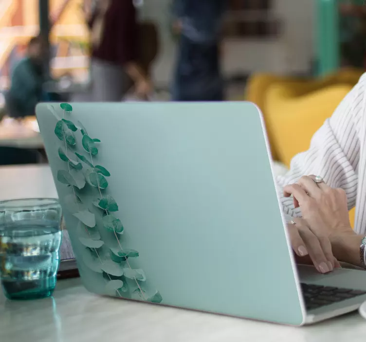 Autocolante para pc Folhas de eucalipto  - TenStickers