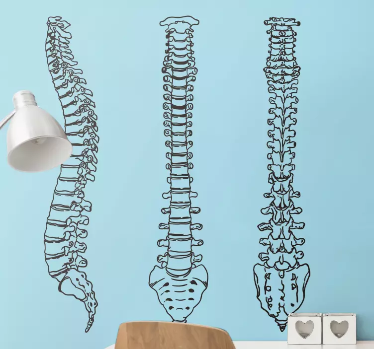 Vinil decorativo coluna vertebral linha - TenStickers