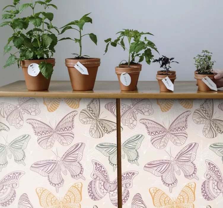 Autocolantes para móveis Borboletas ornamentais coloridas - TenStickers