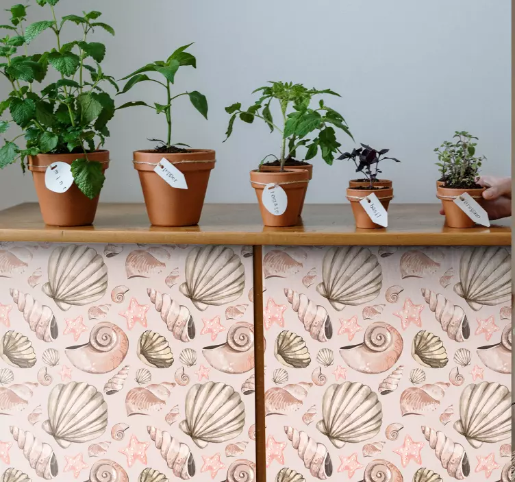 Autocolantes para móveis Móveis de conchas - TenStickers