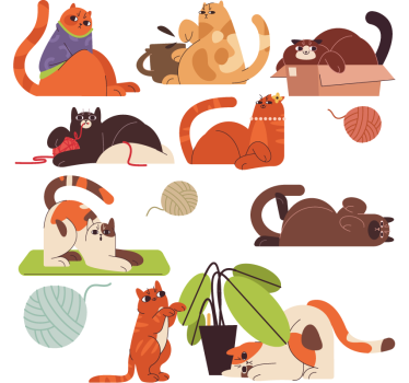Autocolante animal brincando de gatos - TenStickers
