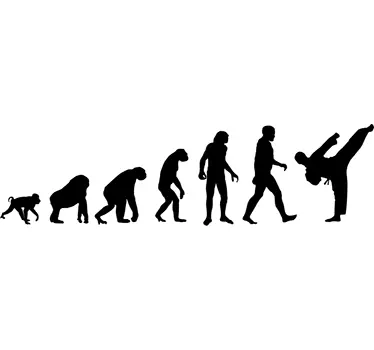 Autocolante decorativo evolução Karate - TenStickers