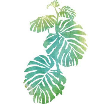 Vinil autocolante plantas - TenStickers