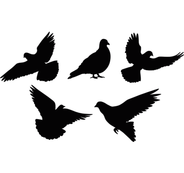 Autocolante para janela aves anti-colisão - TenStickers