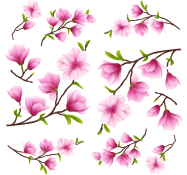 Autocolante para janela flores coloridas de magnólia - TenStickers