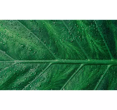 Vinil autocolante decorativo folha verde mesa - TenStickers