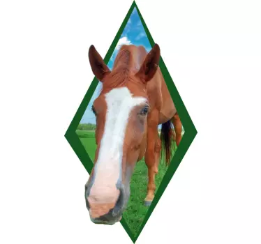 Autocolantes para animais de quinta cabeça de cavalo - TenStickers