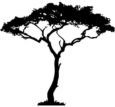 Autocolante de árvore africana - TenStickers