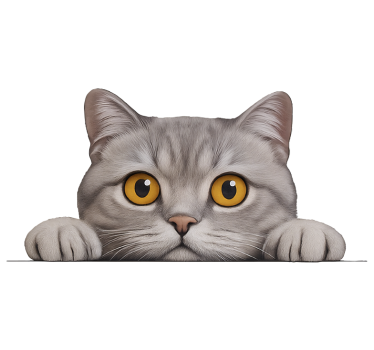 Autocolante para janela gato curioso espiando - TenStickers