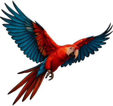 Autocolante para janela pássaro tropical - TenStickers