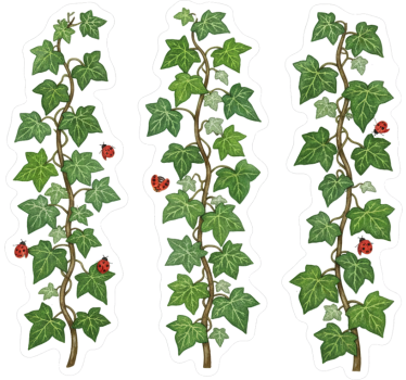 Autocolante para janela mistura de vinhas do jardim - TenStickers