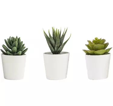 Plantas Vinil Potes de cactos 3d - TenStickers