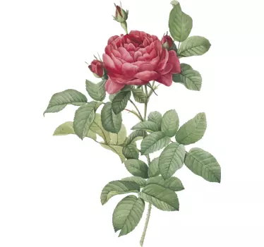 Autocolantes flores Rosa vermelha - TenStickers