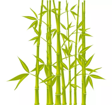 Plantas Autocolantes vinis decorativos folhas de bambu - TenStickers