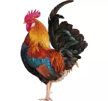 Autocolantes decorativos para animais de quinta Desenho de galo - TenStickers