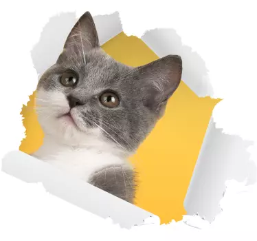 Autocolante com cães e gatos autocolante 3d gato - TenStickers