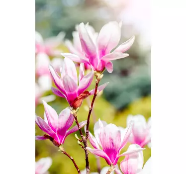 Magnólia flores decoração janela vinil autocolante decorativo - TenStickers