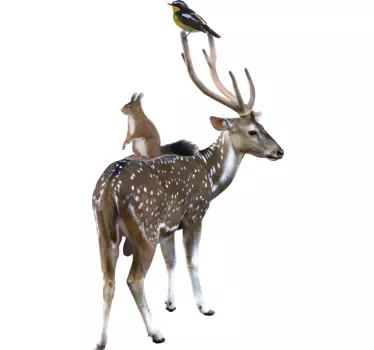 Autocolantes com animais selvagens Animais realistas com veados - TenStickers