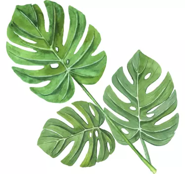 Plantas Vinil Folhas de aquarela monstera - TenStickers