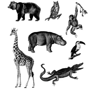 Vinil com animais selvagens Selva preto e branco - TenStickers