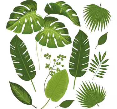 Plantas Vinil Variedade de folhas - TenStickers