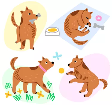 Autocolante atividades caninas lúdicas - TenStickers