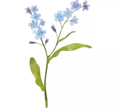 Autocolantes flores Não me esqueça - TenStickers