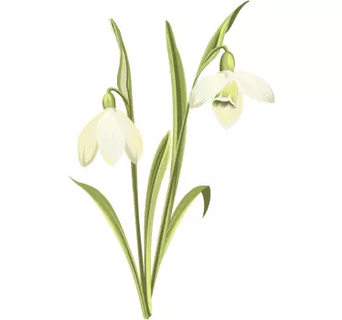Autocolantes flores Planta snowdrop - TenStickers