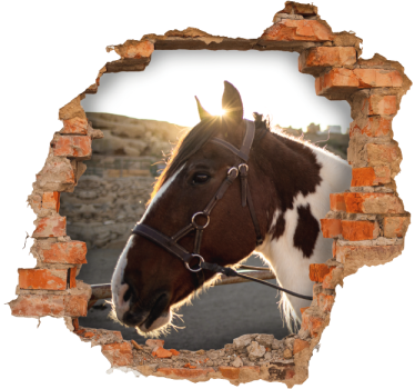 Autocolantes de animais diversos Cabeças de cavalo com efeito 3d - TenStickers
