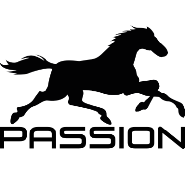 Autocolante decorativo para carros Paixão de cavalo - TenStickers