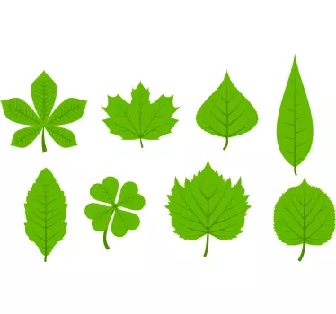 Plantas Vinil Folha de carvalho - TenStickers