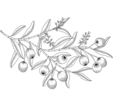 Autocolantes decorativos de flores e plantas Ramos de oliveira - TenStickers