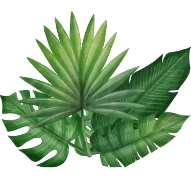 Plantas Vinil Diferentes folhas tropicais - TenStickers