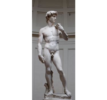 Vinil decorativo David de Michelangelo - TenStickers