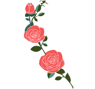 Vinil Decorativo Rosas - TenStickers