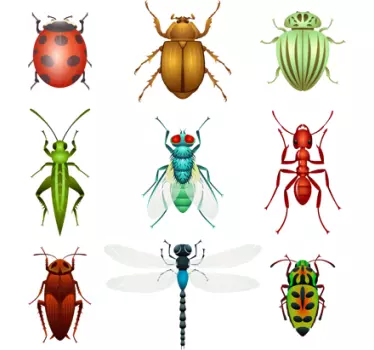 Vinil decorativo conjunto de insectos - TenStickers