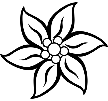 Vinil decorativo flor edelweiss - TenStickers
