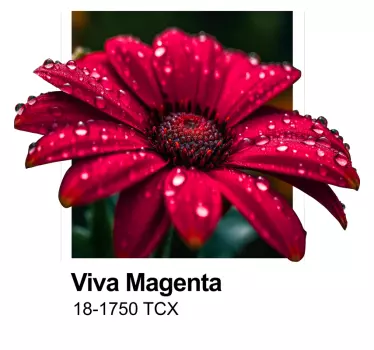 Adesivo de parede viva Magenta! - TenStickers